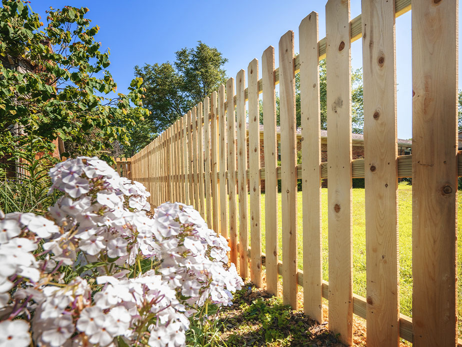 fence Installation Contractor in Land O' Lakes Florida