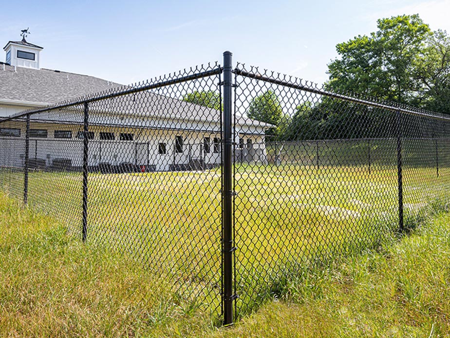 Chain Link Fencing Image